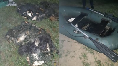 На Одещині затримали браконьєра, який виловив понад 100 раків з озера Ялпуг На Одещині затримали браконьєра, який виловив понад 100 раків з озера Ялпуг
