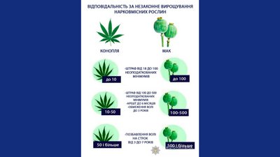 В Черкаській області стартують профілактичні заходи "Мак-2020" В Черкаській області стартують профілактичні заходи "Мак-2020"