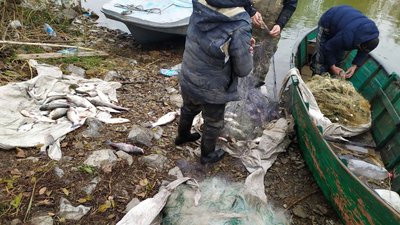 На озері Кугурлуй на Одещині затримали чоловіка, який ловив рибу забороненими сітками На озері Кугурлуй на Одещині затримали чоловіка, який ловив рибу забороненими сітками