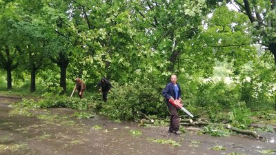 Через негоду на Волині деякі села досі без світла Через негоду на Волині деякі села досі без світла
