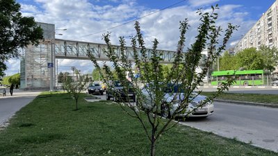сакури харків сакури харків