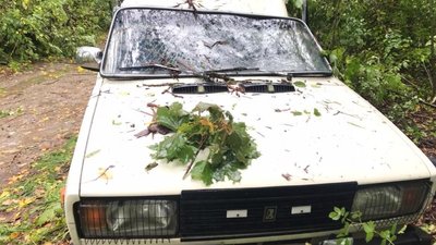 Внаслідок негоди на Вінниччині загинула людина