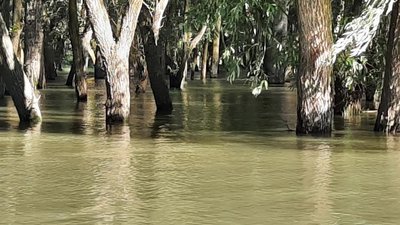 На Одещині вода із заплави річки піднялась до рівня автодороги На Одещині вода із заплави річки піднялась до рівня автодороги