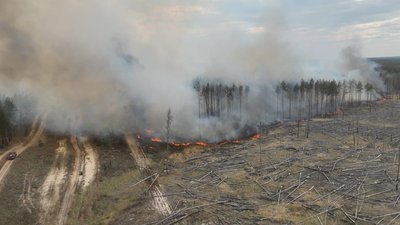 Горить ліс на Харківщині Горить ліс на Харківщині