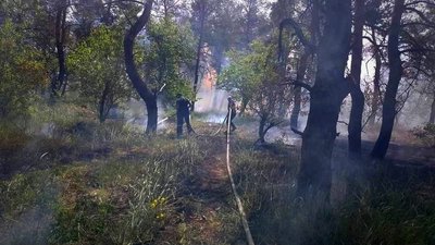 На Миколаївщині рятувальники за добу загасили п'ять пожеж На Миколаївщині рятувальники за добу загасили п'ять пожеж