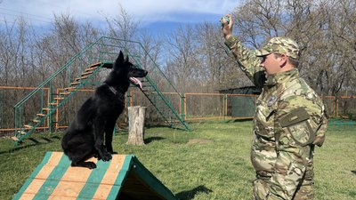 Всупереч війні: як минув тиждень на Миколаївщині — фотодобірка Всупереч війні: як минув тиждень на Миколаївщині — фотодобірка