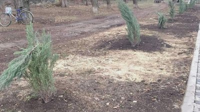 Зламані дерева та розкидана плитка біля Алеї Слави. На Миколаївщині поліція затримала підозрюваного у вандалізмі