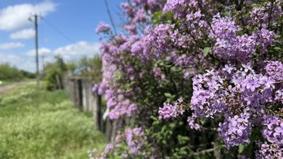 Село Майдан Черкаська громада