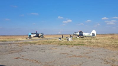 На Херсонщині з літаків вакцинують тварин від сказу На Херсонщині з літаків вакцинують тварин від сказу
