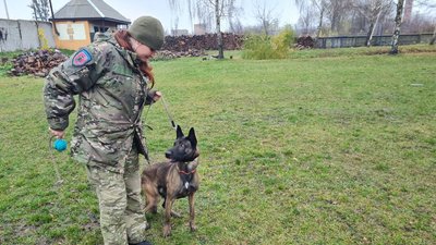 Кінологиня, службові собаки, поліцейська, вибухівка. Житомир, листопад 2023 року Кінологиня, службові собаки, поліцейська, вибухівка. Житомир, листопад 2023 року