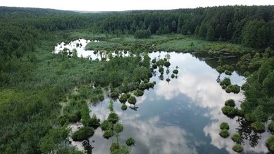 Узруївські джерела Узруївські джерела