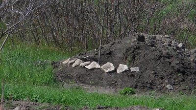 Ольвійська хора. На Миколаївщині відбуваються незаконні розкопки