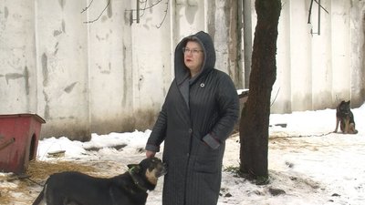 У луцькій "Ласці" будують каналізаційну мережу. Як зараз працює підприємство У луцькій "Ласці" будують каналізаційну мережу. Як зараз працює підприємство