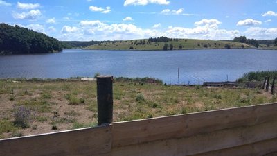 На Сумщині підприємець узявся очищувати водойму за допомогою риби і гусей На Сумщині підприємець узявся очищувати водойму за допомогою риби і гусей