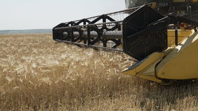 На Вінниччині стартували жнива ранніх зернових