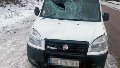 ДТП, смертельна аварія, велосипедистка, поліція, Словечанська громада