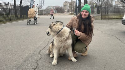 На Дніпропетровщині на 40% зросла захворюваність на хворобу Лайма