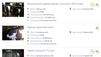 Мін'юст продає на аукціоні собак, корів та індиків. Що кажуть зоозахисники Мін'юст продає на аукціоні собак, корів та індиків. Що кажуть зоозахисники