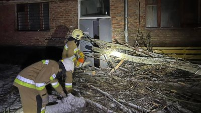 Повалені дерева та ожеледиця. У Миколаєві ліквідовують наслідки негоди Повалені дерева та ожеледиця. У Миколаєві ліквідовують наслідки негоди