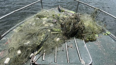 Сітки, що відібрали з річки Південний Буг інспектори під час рейду Сітки, що відібрали з річки Південний Буг інспектори під час рейду