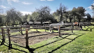 Кінно-спортивний клуб Migovo Stables