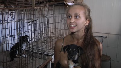 Лекції, майстер-класи та концерт: як відзначили День захисту тварин в Одесі Лекції, майстер-класи та концерт: як відзначили День захисту тварин в Одесі