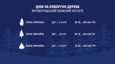 На Кіровоградщині планують продати понад 39 тисяч новорічних дерев. Озвучили ціни На Кіровоградщині планують продати понад 39 тисяч новорічних дерев. Озвучили ціни