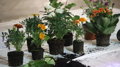 У Львові презентували мистецький проєкт "Вигнання" про депортацію кримських татар У Львові презентували мистецький проєкт "Вигнання" про депортацію кримських татар