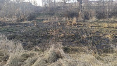Каналізаційні стоки течуть у село Марто-Іванівка на Кіровоградщині Каналізаційні стоки течуть у село Марто-Іванівка на Кіровоградщині