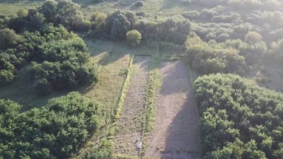 На Черкащині виявили масштабну плантацію коноплі На Черкащині виявили масштабну плантацію коноплі