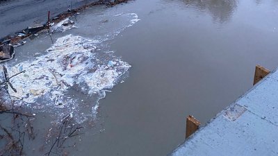 У Підполоззі Жденіївської громади Мукачівського району підтопило тимчасову переправу