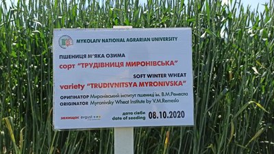 На Миколаївщині стартував Міжнародний агротехнічний форум На Миколаївщині стартував Міжнародний агротехнічний форум