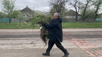 руська лозова руська лозова