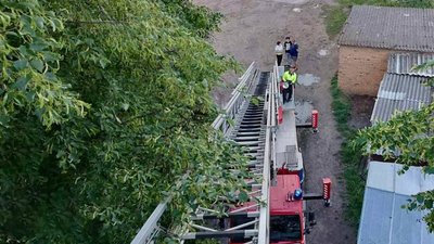 Повалені дерева, відключення світла та пошкоджена городина через град: які наслідки негоди на Житомирщині Повалені дерева, відключення світла та пошкоджена городина через град: які наслідки негоди на Житомирщині