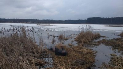 На Житомирщині знайшли тіло 17-річного Івана Мисливого, якого розшукували 4 доби На Житомирщині знайшли тіло 17-річного Івана Мисливого, якого розшукували 4 доби