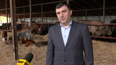 Дотація від держави для тих, хто тримає корів та овець: як волинянам її отримати — Віталій Сокол Дотація від держави для тих, хто тримає корів та овець: як волинянам її отримати — Віталій Сокол