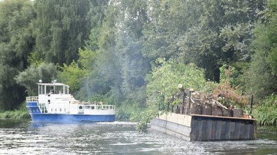 У Луцьку розчищають річку Стир від повалених дерев У Луцьку розчищають річку Стир від повалених дерев
