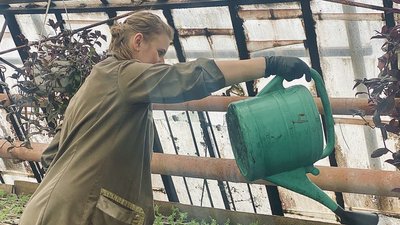 Чорнобривці, сальвії, петунії: у Житомирі комунальники готуються облаштовувати клумби