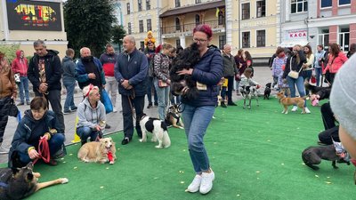 У Житомирі визначили переможців виставки безпородних собак "Мокрий ніс – 2021" У Житомирі визначили переможців виставки безпородних собак "Мокрий ніс – 2021"