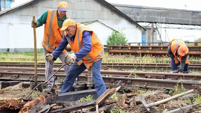 Підняли ціни та вивозять зерно: "нові порядки" в окупованому Старобільську
