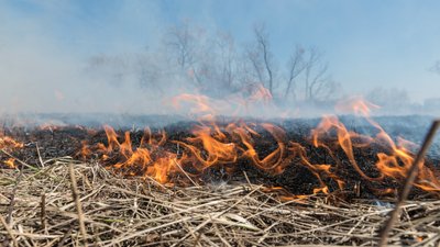 На Черкащині судитимуть чоловіка, який недопалком спричинив масштабну пожежу