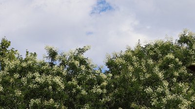Херсон, погода, природа