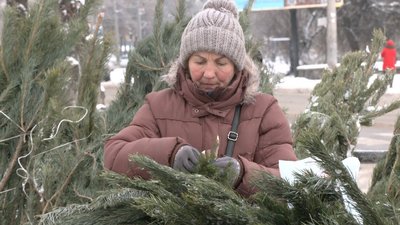 У Луцьку запрацювали ялинкові ринки. Що пропонують до свят У Луцьку запрацювали ялинкові ринки. Що пропонують до свят