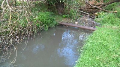 У Житомирі роблять лабораторні дослідження води у Тетереві через аварію на каналізаційній станції У Житомирі роблять лабораторні дослідження води у Тетереві через аварію на каналізаційній станції