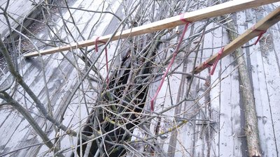 На Житомирщині на мосту через річку утворилася діра – на реконструкцію потрібно 5 мільйонів гривень На Житомирщині на мосту через річку утворилася діра – на реконструкцію потрібно 5 мільйонів гривень