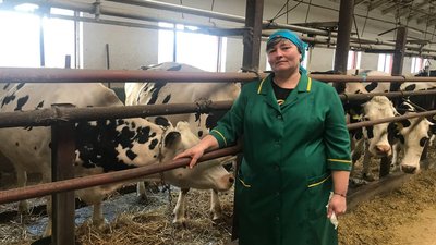 Альона Юзюк біля корів на робочому місці Альона Юзюк біля корів на робочому місці