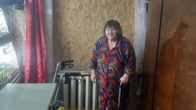 У Харкові волонтери допомагають забити вікна після обстрілів У Харкові волонтери допомагають забити вікна після обстрілів