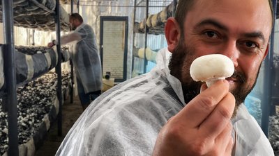 Ветеран з Волині Володимир Бородчук, грибна ферма