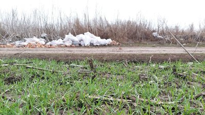 Це не наше: покинуті отрутохімікати у Сумах залишаються просто неба два десятиліття
