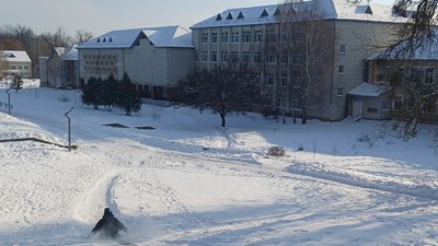 Житомир, освіта, школа, канікули, дистанційна форма навчання
